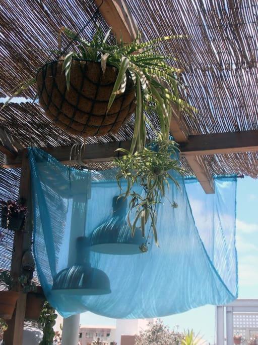 La Azotea * Las Palmas de Gran Canaria