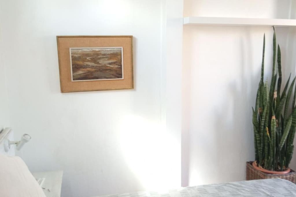 La Azotea Homestay