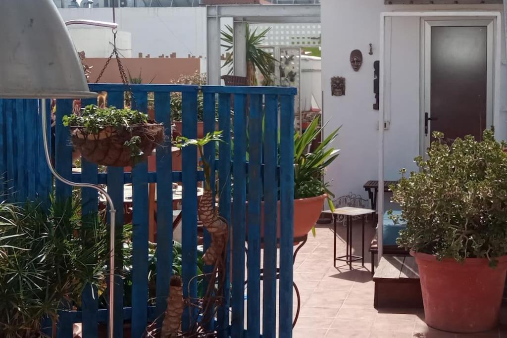 La Azotea Homestay *